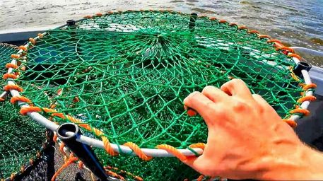Krake Pot The #1 Crab Pots in Australia – Ultimate Pro Crab Pots